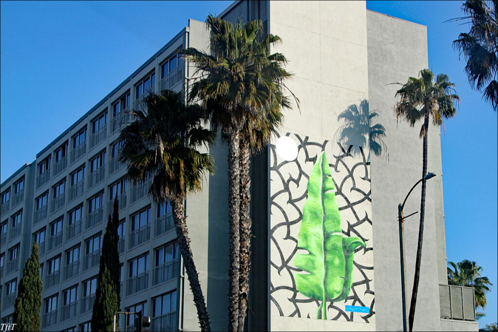Leaf Mural - Santa Monica, California 