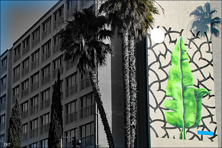 Leaf Mural - A Canvas for Discovery, Santa Monica, CA