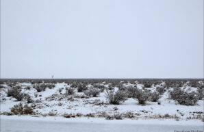 Snow in Mojave Desert