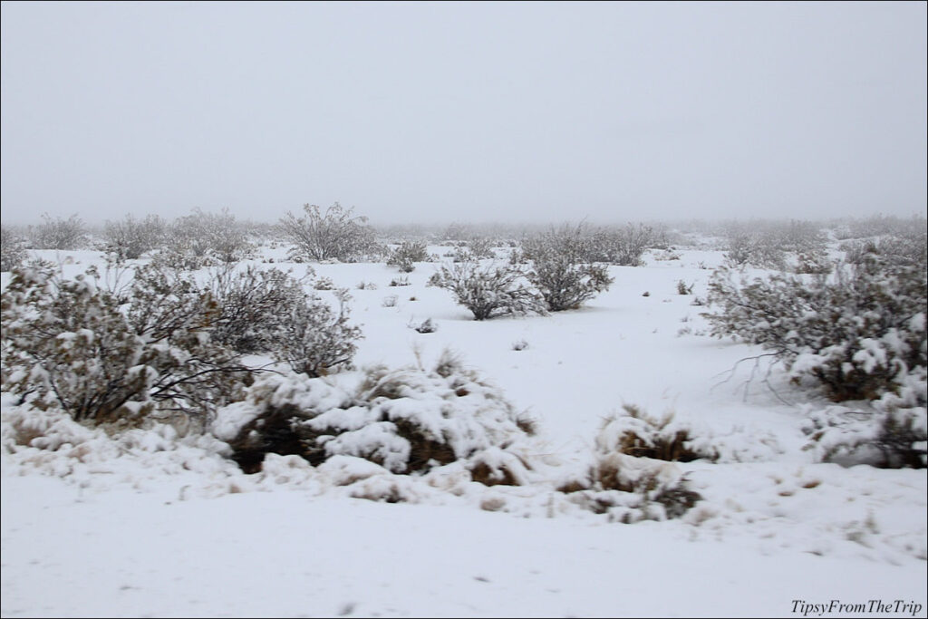 Snow in Mojave Desert 