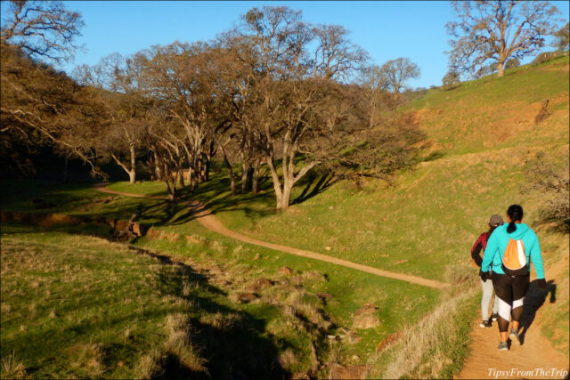 Round Valley Trails