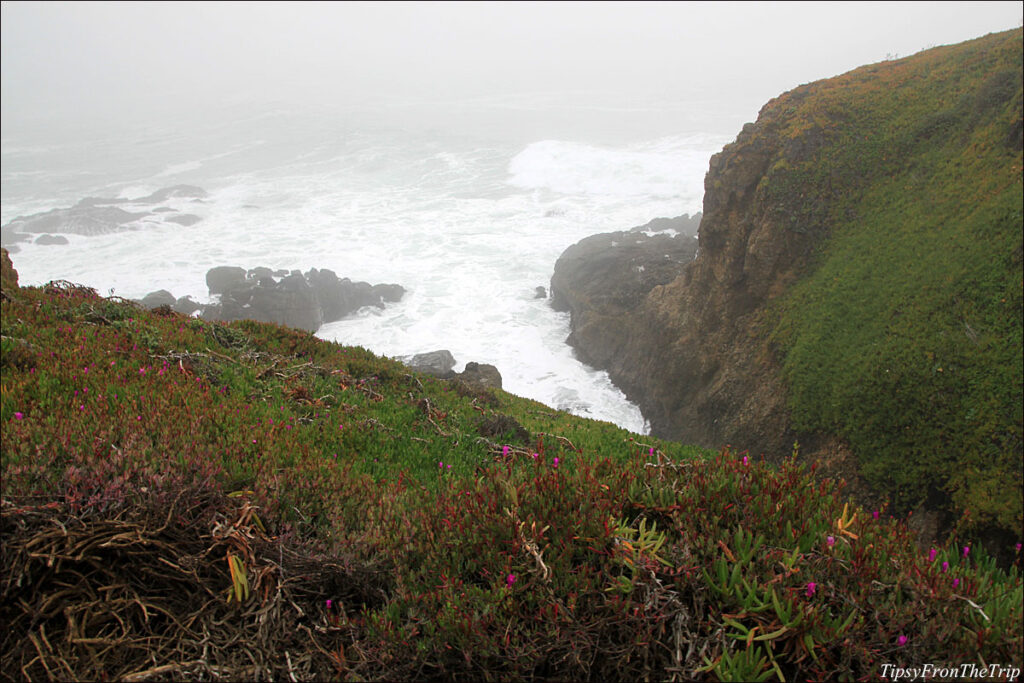 San Mateo Coast
