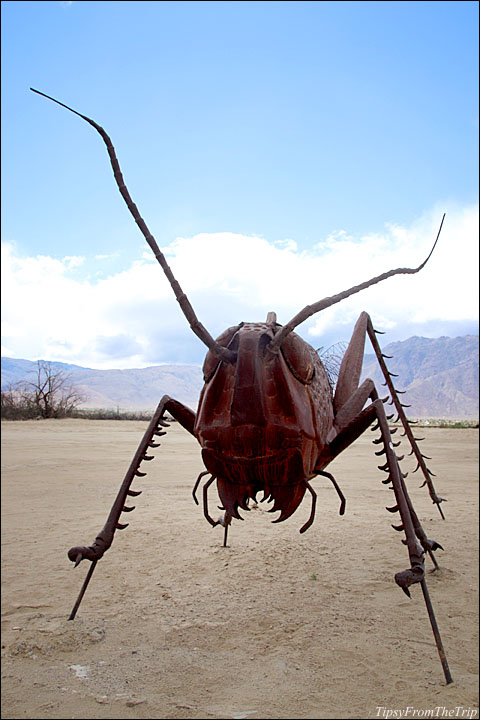 A sculpture in the desert in Borrego Springs 