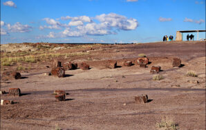 Awe-Inspiring Sights to See in Petrified Forest National Park