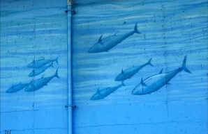 Aquarium of the Bay Murals, San Francisco