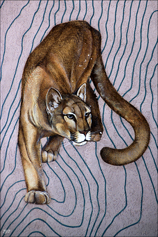 Mountain Lion 