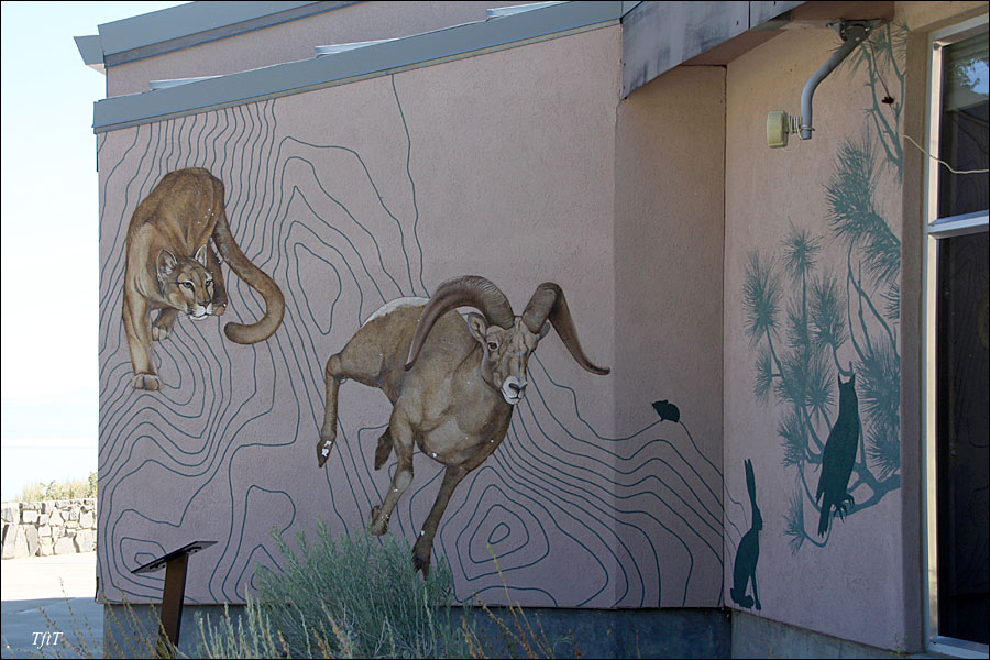 Eastern Sierra Wildlife -- A 'Migrating' mural