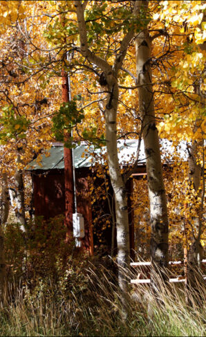 Lundy Canyon in Fall