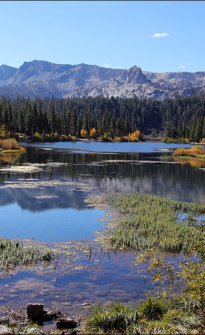 Mammoth Lakes Basin