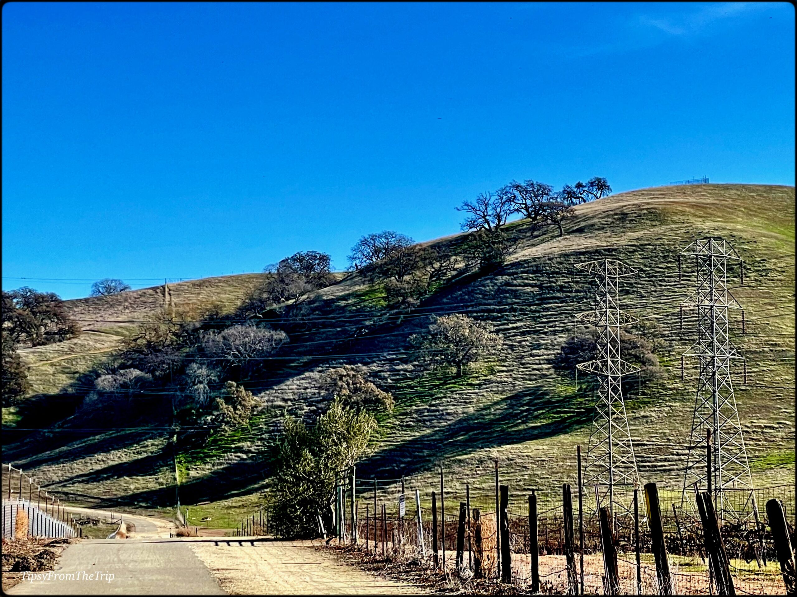 Holdener Park Offers Views Of The Livermore Countryside