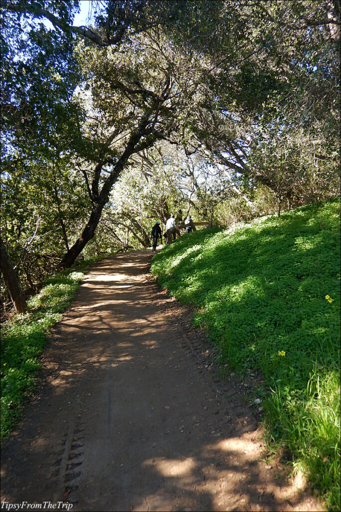 Seven Springs Trail - SF Bay Area 