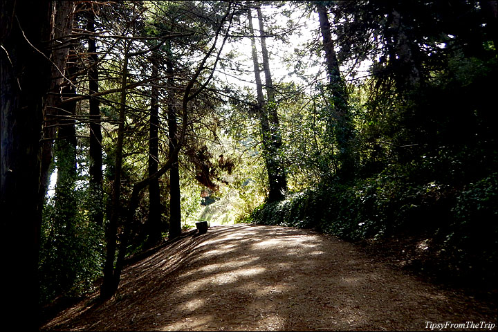 Ecology Trail and Lovers' Lane -- San Francisco
