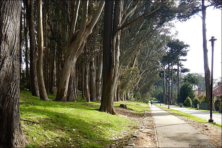 Ecology Trail and Lovers' Lane -- San Francisco