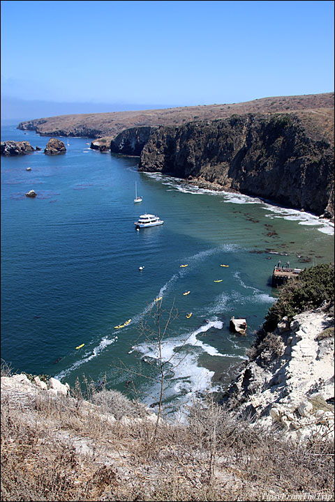Santa Cruz Island 