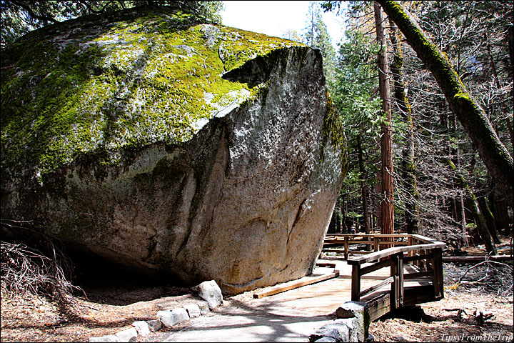 Yosemite Hikes 