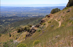 Mary Bowerman Trail -- Mt. Diablo State Park Trails