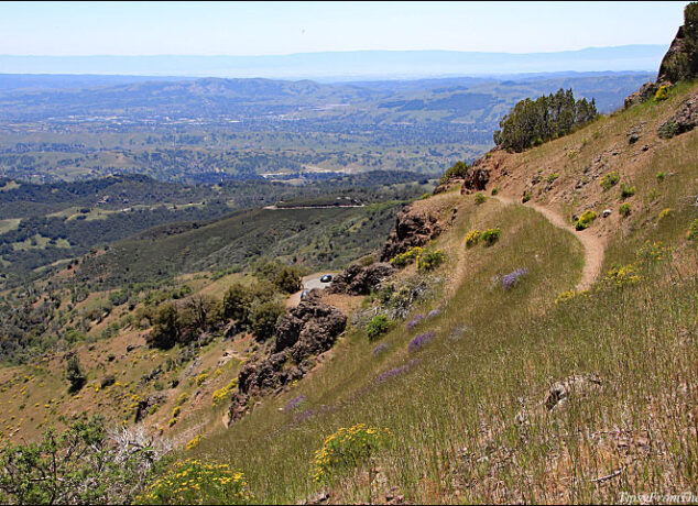 Mary Bowerman Trail -- Mt. Diablo State Park Trails