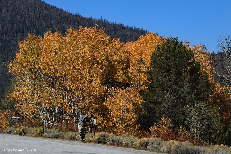 By Carson Pass Highway - Highway 88 