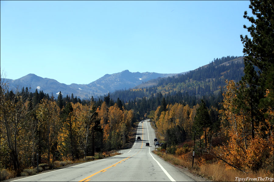 Leaf Peeping on the Sierras
By Carson Pass Highway - Highway 88 