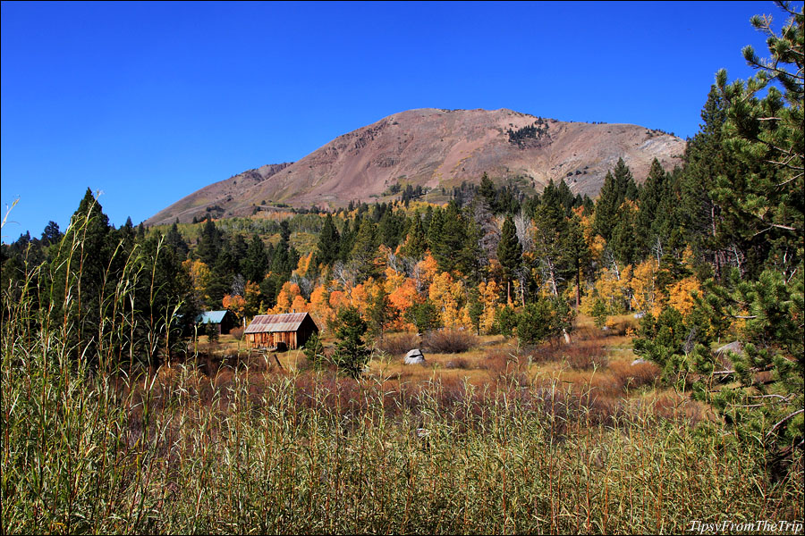Fall Foliage -- Red Barn, Hope Valley 