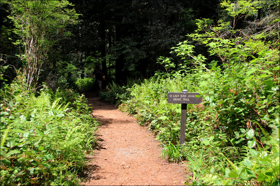 Lady Bird Johnson Grove Trail 