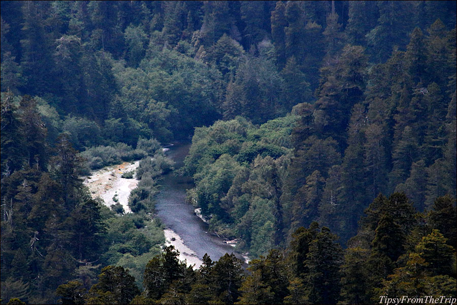 Redwood Creek 