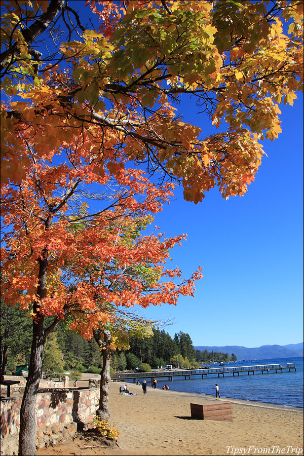 fall colors around Lake Tahoe