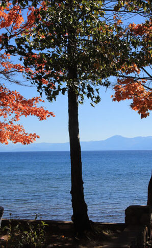 Lake Tahoe - Fall colors