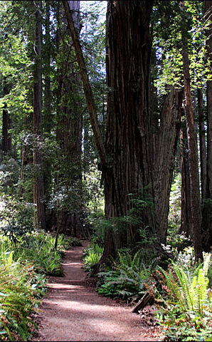 Lady Bird Johnson Trail