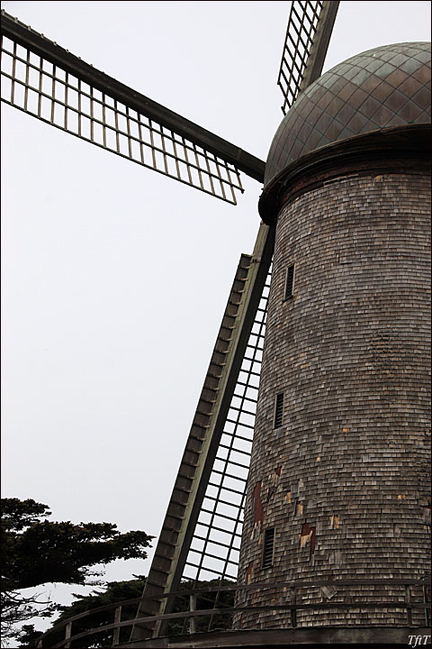 The Dutch Windmill at Golden Gate Park, San Francisco.