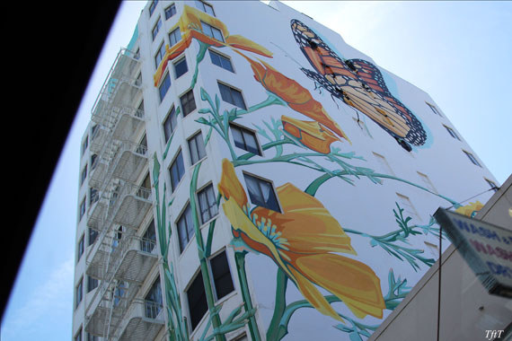 butterfly-mural-sanfrancisco