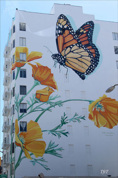 Golden Poppy and  Butterfly Mural on Hyde Street, San Francisco.