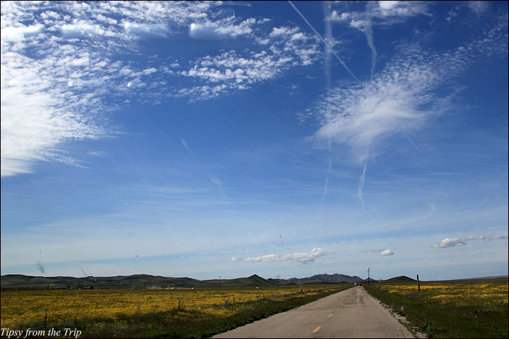 Soda Lake Road 