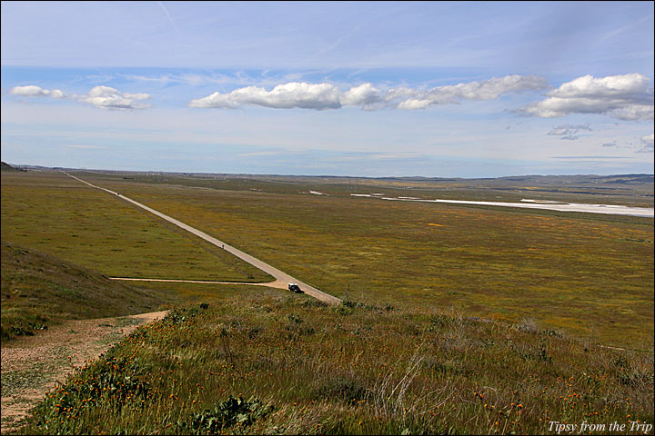 Carizzo Plain, California 