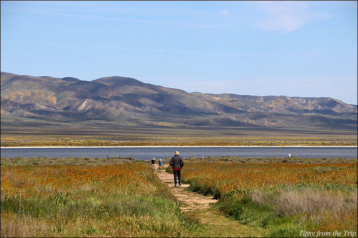 Soda Lake, Carizzo Plain National Monument 