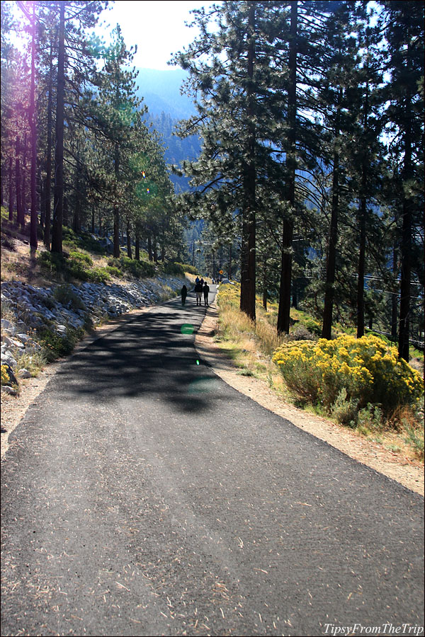 A fall hike on Tahoe East Shore Trail