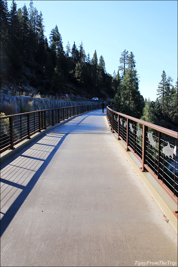 A hike along the lake 