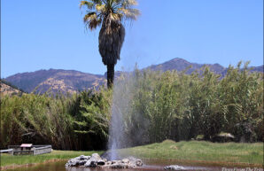 Old Faithful Geyser of California