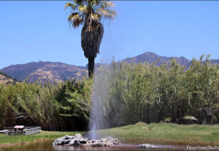 Old Faithful Geyser of California