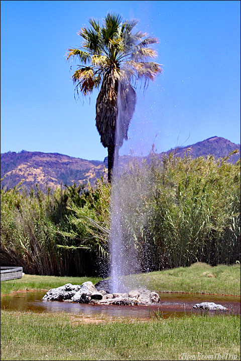 Geyser of California 