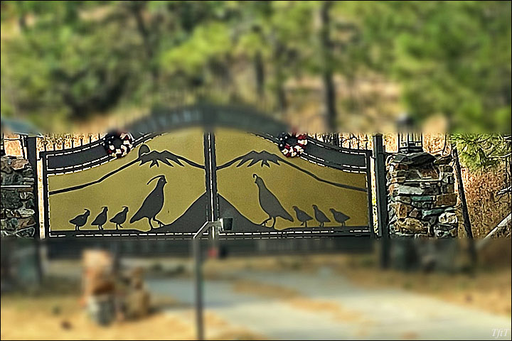 Quail Gate