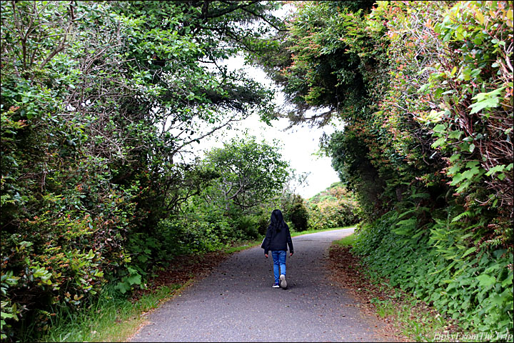 Hikes to Love: Trinidad Head in California| Tipsy from the TRIP