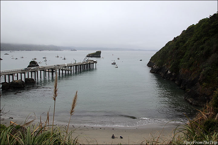 The Harbor, Trinidad, CA