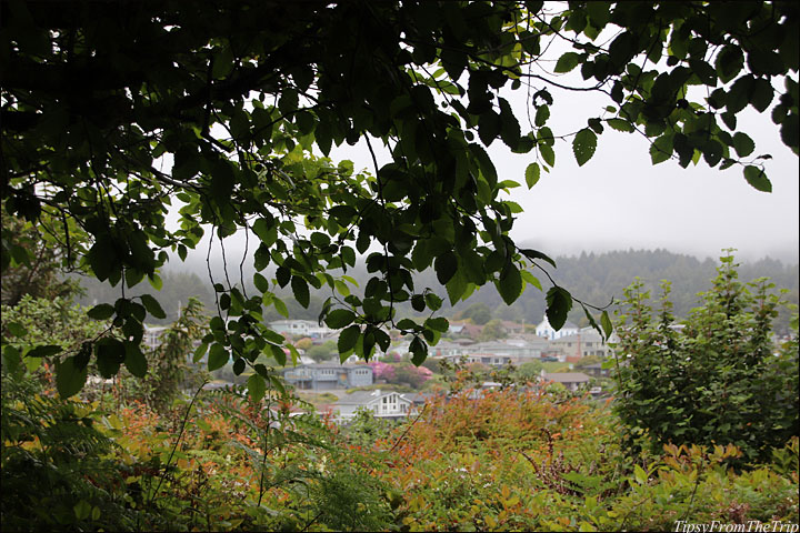 A view of the town from the trail 