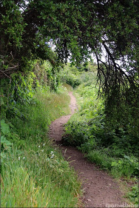 Trails in the North Coast 