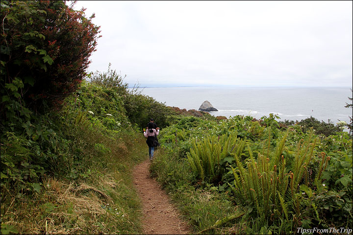 Trinidad Head Trail