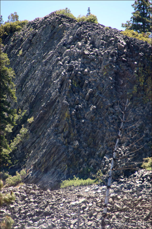 Basaltic Column/ Columnar Basalt in California. 