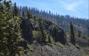 Stop! See the Stone Giants of Stanislaus Forest