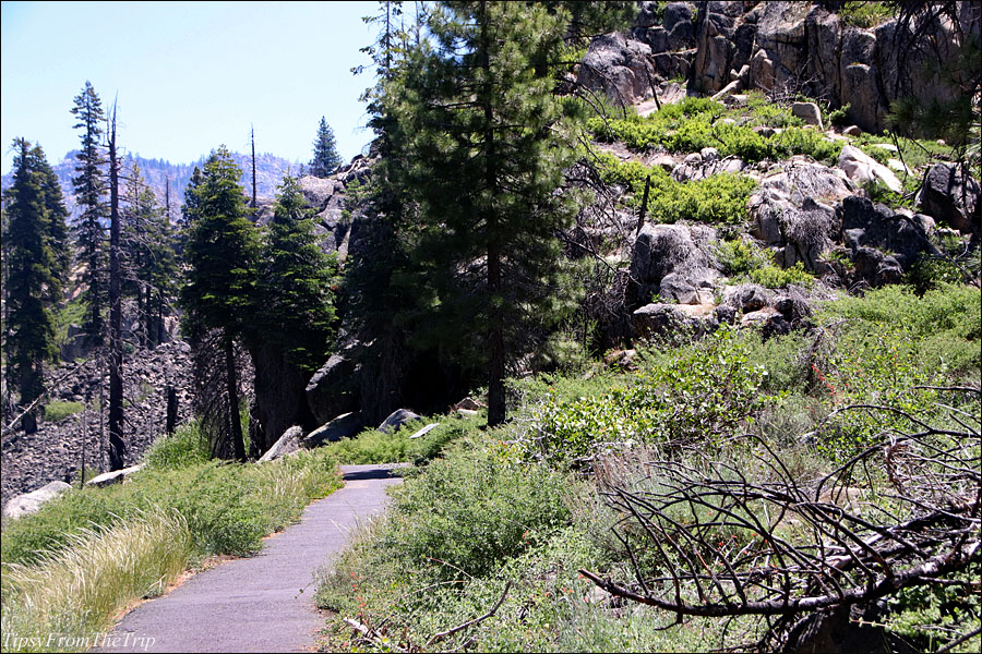 The trail to the columns / Geological site 