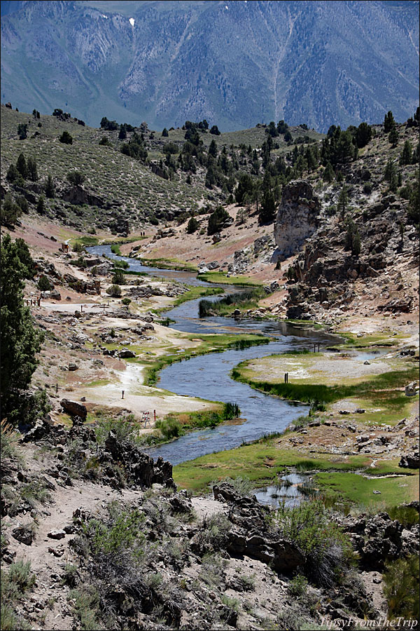 Hot Creek from Brees Point 